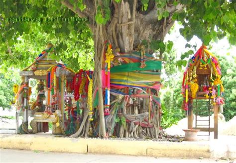  Banyan Tree Spirit - A Mysterious Thai Folk Tale Whispering Ancient Wisdom!